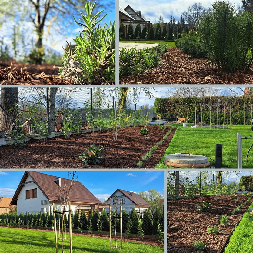 przyjazna Ogrody, tereny zieleni - projektowanie, utrzymanie, Zielone Koszone Weronika Wolańska, Wierzbna